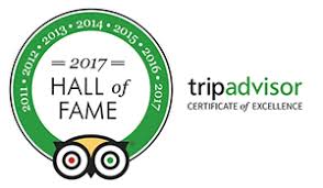 TripAdvisor Award Badge