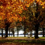 Winslow Park, Freeport, Maine