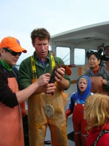 Measuring lobsters