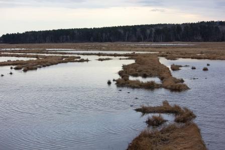 Scarborough Marsh